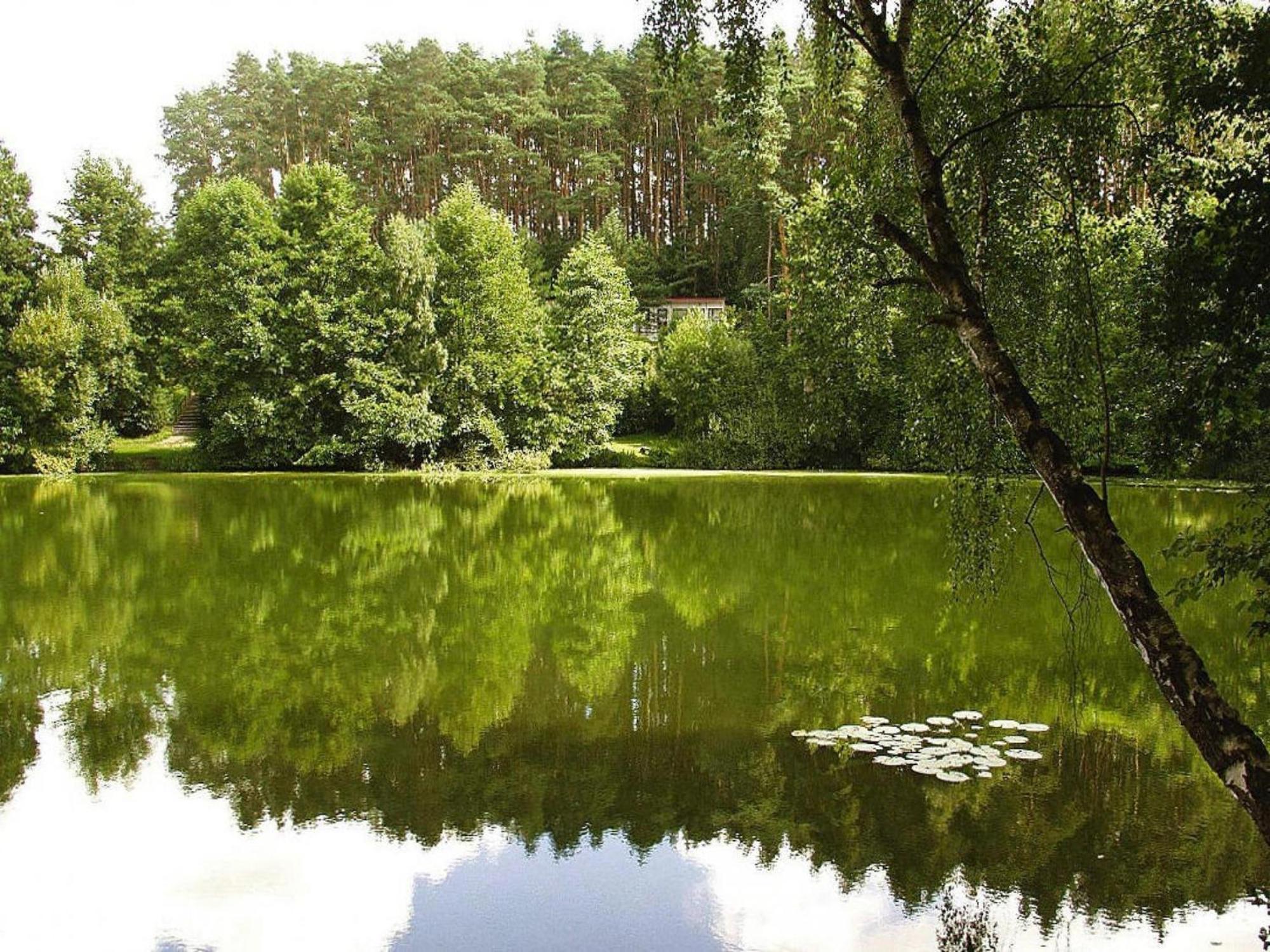 Vacation Settlement Directly At The Grundlossee In Sewekow エクステリア 写真